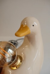 Lampe canard défaut 1