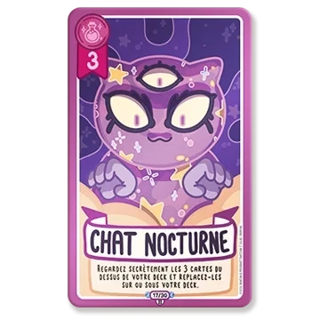 Chat nocturne