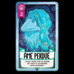 Carte de jeu illustrée d'un pirate au gros nez sur un radeau en mer, titrée "Pirate perdu" avec une valeur de 4 points et un effet spécial permettant de mélanger des cartes de la zone de score.