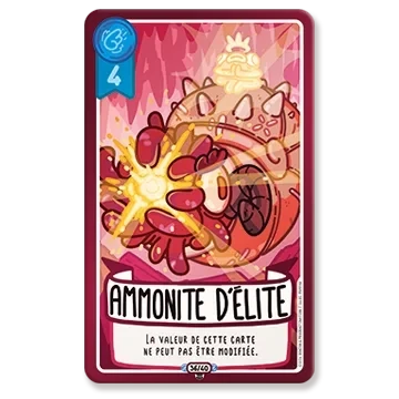 Ammonite d'Elite