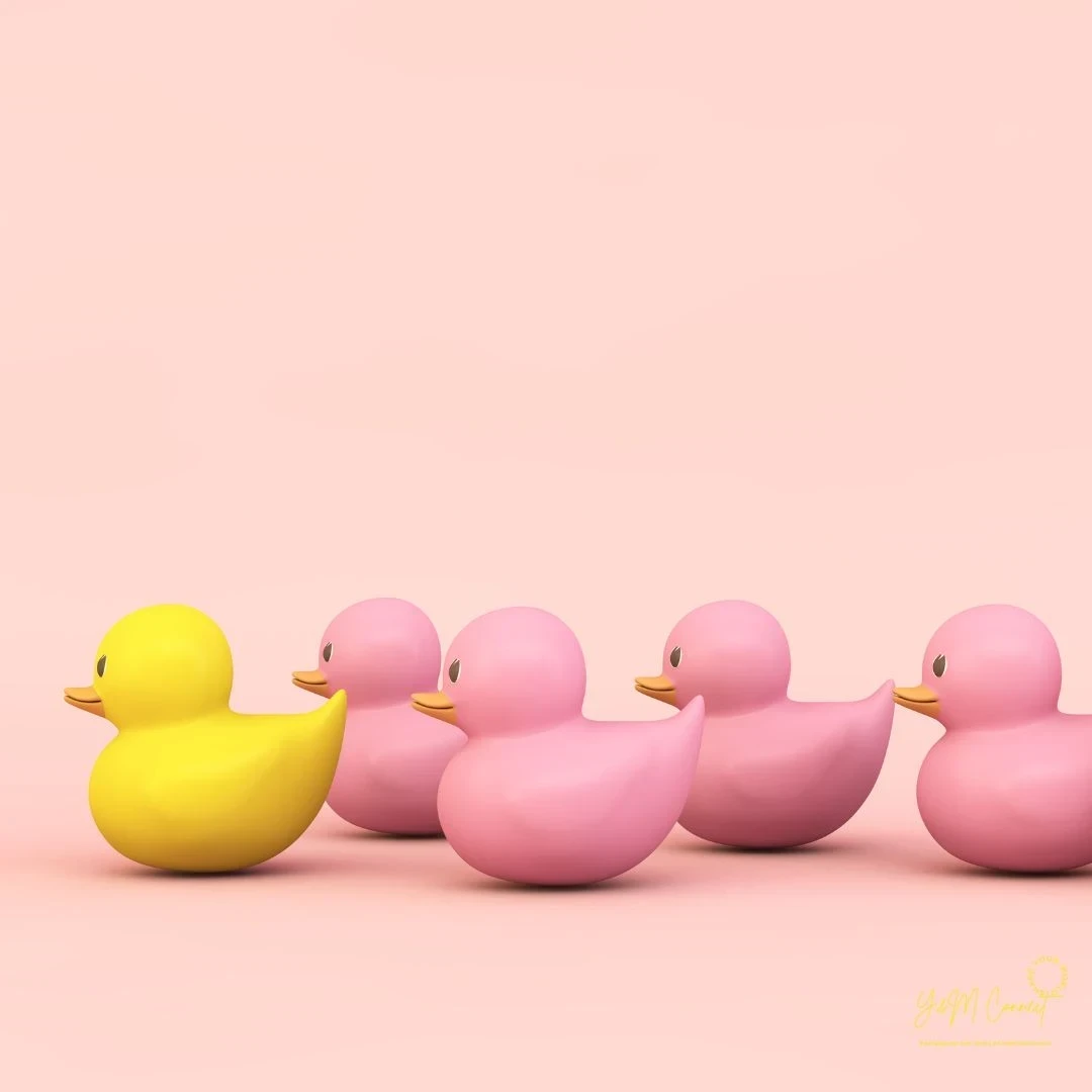 <span style="color: rgb(51, 51, 51)">Adhésions #gangstapreneurs 2026