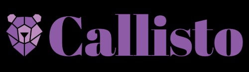 Logo de Voyages Gallimard, composé du texte en lettres capitales sombres séparé par une étoile stylisée à huit branches alternant bleu sombre et doré.