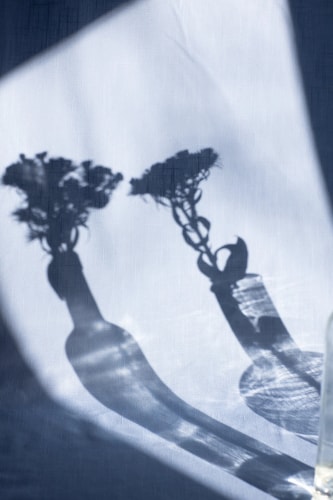 Ombres de deux bouteilles avec des fleurs projetées sur une surface claire, créant un effet de lumière et d'ombre artistique.