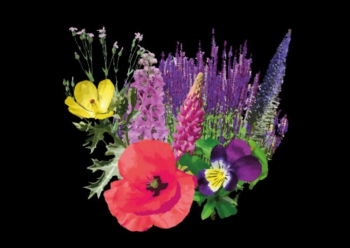 Un bouquet de fleurs colorées composé de coquelicots rouges, de fleurs jaunes, de violettes et de grandes hampes florales violettes sur fond noir.