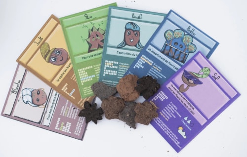 Les bombes à graines Avertiles!