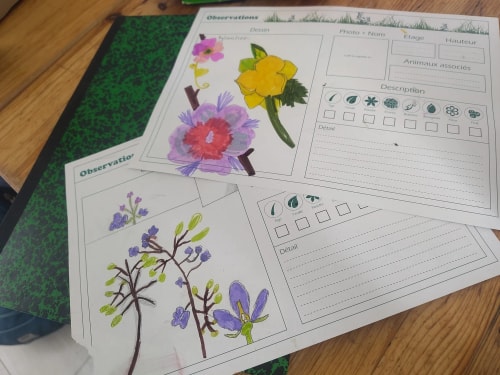 Carnet d'observation