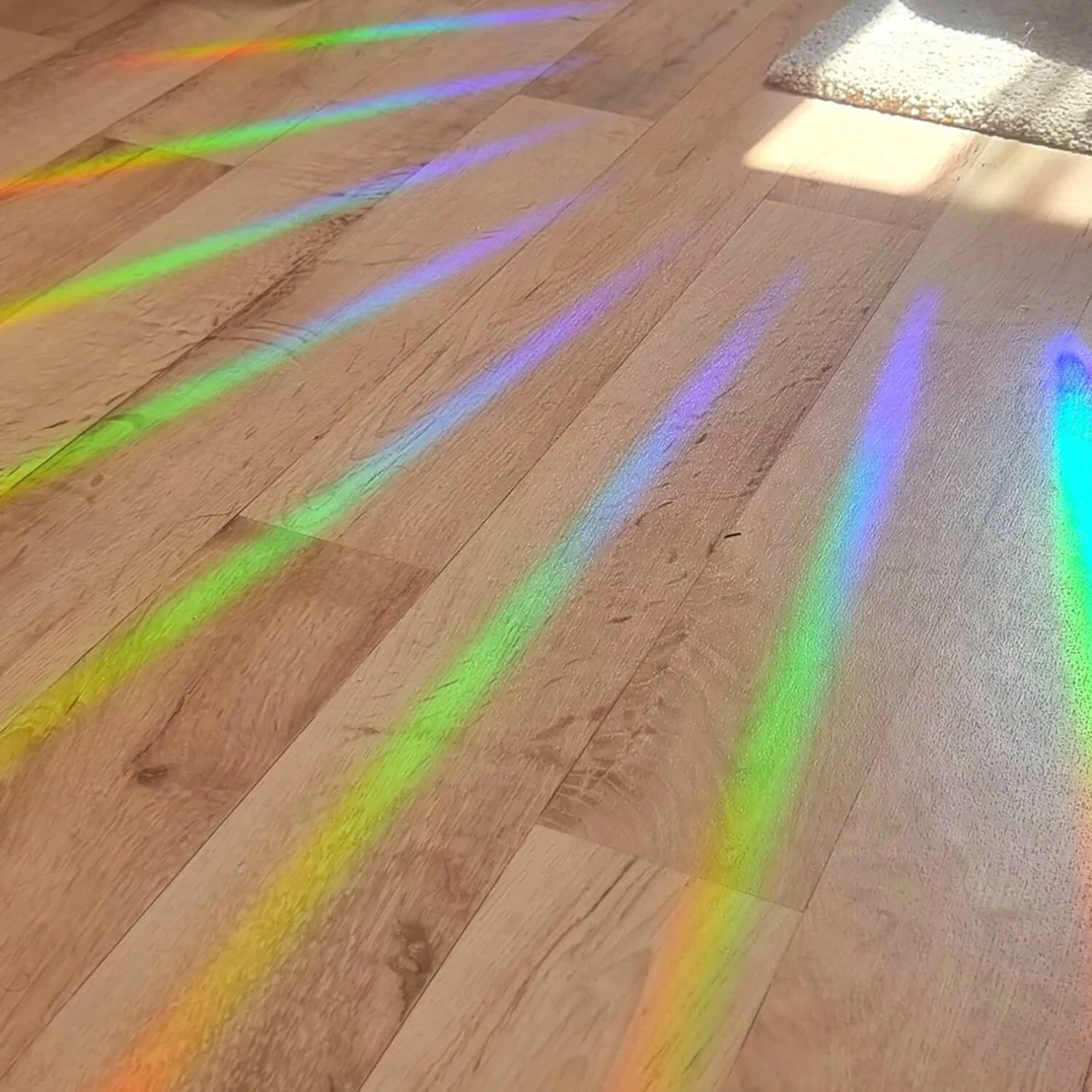 Suncatcher sticker - Blossom