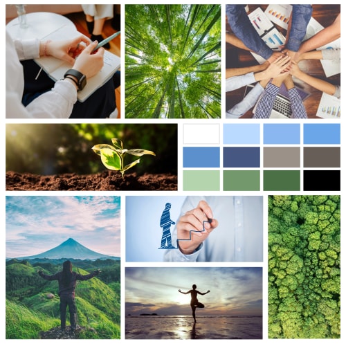 MANAPLA COACHING - Charte graphique