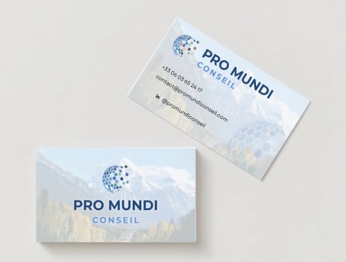 PRO MUNDI CONSEIL - Charte graphique