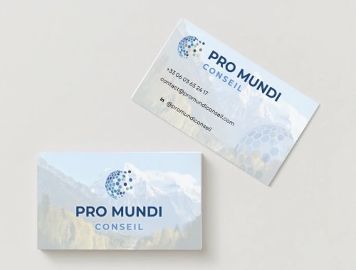 Carte de visite de Promundi Conseil, consultant en stratégie commerciale, réalisée par l'équipe de l'Agence Vitrine