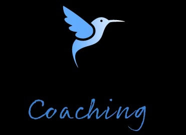 Faites décoller votre business en ligne<span style="color: #fd4e6bff">.