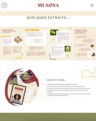 Faites décoller votre business en ligne<span style="color: #fd4e6bff">.