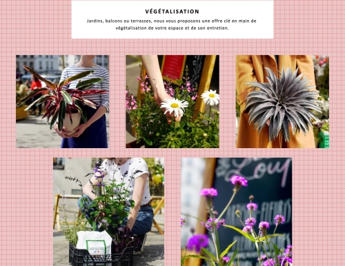 Faites décoller votre business en ligne<span style="color: #fd4e6bff">.