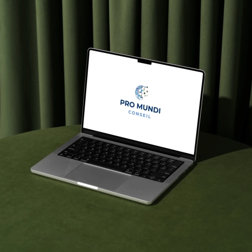 PRO MUNDI CONSEIL - Charte graphique