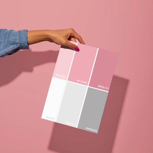 SOPHIE DIONNET - Charte graphique