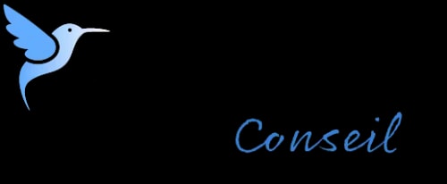 Faites décoller votre business en ligne<span style="color: #fd4e6bff">.