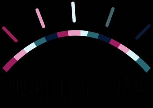 Master Didactique de l’image