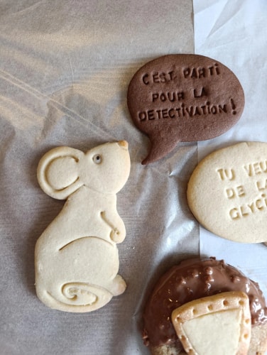 Box "A tour de Roll"