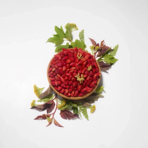 Tarte ronde garnie de fraises des bois rouges, entourée de feuilles vertes et pourpres sur fond blanc.